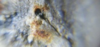 2017-02-23 09-53-38 (2).JPG