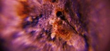 2017-02-23 09-53-38 (4).JPG