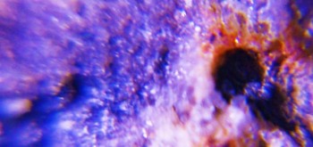 2017-02-23 09-53-38 (5).JPG