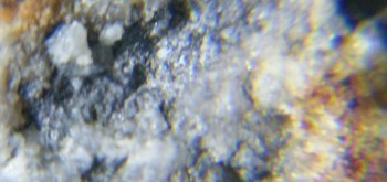 2017-02-23 09-53-42 (2).JPG