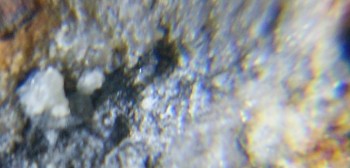 2017-02-23 09-53-42 (3).JPG