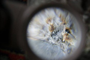 2017-02-23 09-53-42.JPG