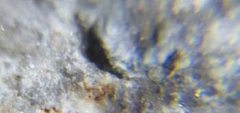 2017-02-23 09-53-56 (2).JPG