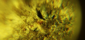 2017-02-23 09-53-56 (3).JPG