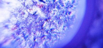 2017-02-23 09-53-56 (4).JPG