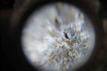 2017-02-23 09-53-56.JPG