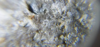 2017-02-23 09-54-12 (2).JPG