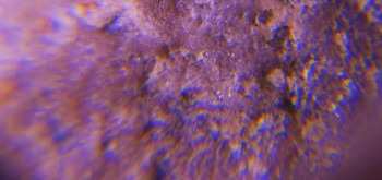 2017-02-23 09-54-12 (4).JPG