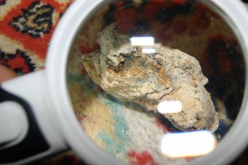 2017-04-02 23-46-52.JPG