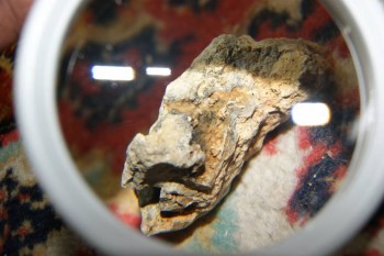 2017-04-02 23-47-42.JPG