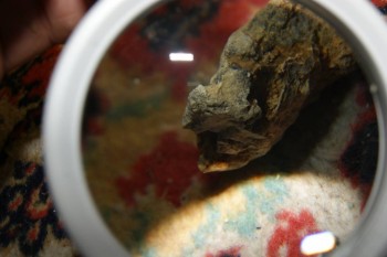 2017-04-02 23-47-50.JPG