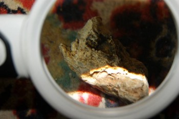 2017-04-02 23-48-16.JPG