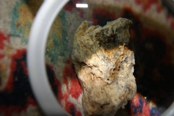 2017-04-02 23-49-06.JPG