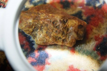 2017-04-02 23-51-36.JPG