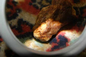 2017-04-02 23-52-16.JPG