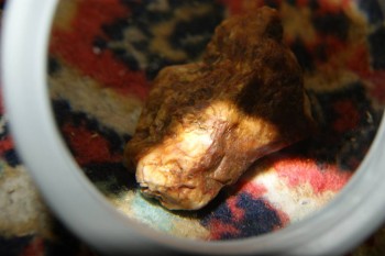 2017-04-02 23-52-26.JPG