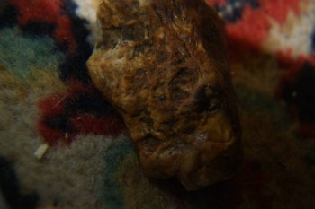 2017-04-02 23-53-30.JPG