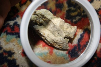 2017-04-02 23-55-00.JPG