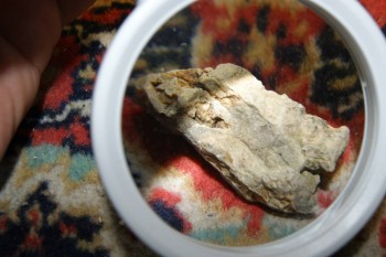 2017-04-02 23-55-08.JPG