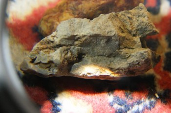 2017-04-02 23-55-48.JPG