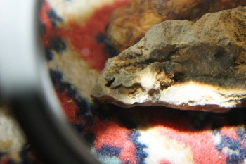 2017-04-02 23-55-54.JPG