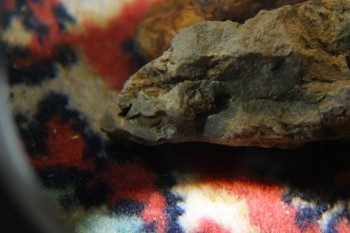 2017-04-02 23-56-02.JPG