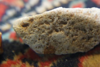 2017-04-07 10-17-26.JPG