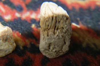 2017-04-07 10-18-08.JPG