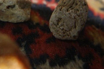 2017-04-07 10-18-28.JPG