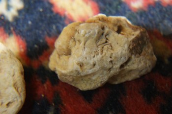 2017-04-07 10-19-02.JPG