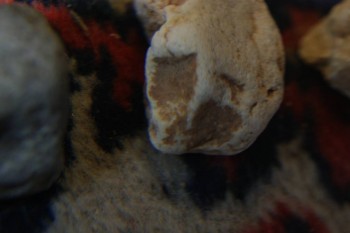 2017-04-07 10-19-28.JPG