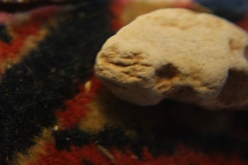 2017-04-07 10-20-48.JPG