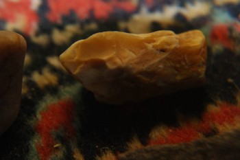 2017-04-07 10-21-18.JPG