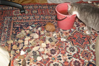 2017-04-02 23-43-54.JPG