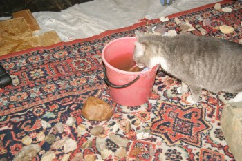 2017-04-02 23-44-06.JPG