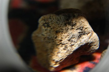 2017-04-07 10-22-22.JPG