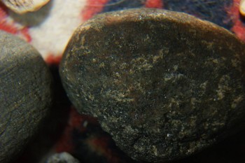 2017-04-07 10-22-38.JPG