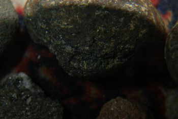 2017-04-07 10-22-48.JPG