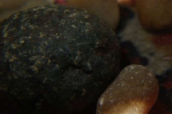 2017-04-07 10-23-48.JPG