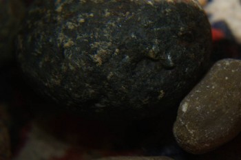 2017-04-07 10-23-52.JPG