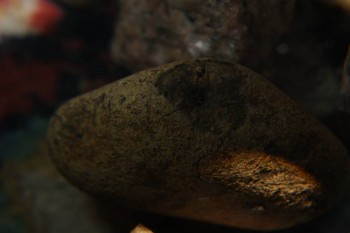 2017-04-07 10-24-10.JPG