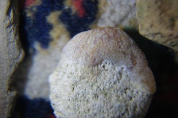 2017-04-07 10-24-48.JPG