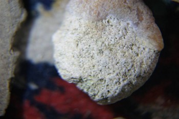 2017-04-07 10-24-54.JPG