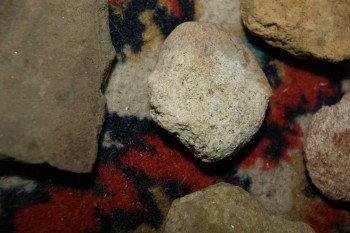 2017-04-07 10-25-08.JPG