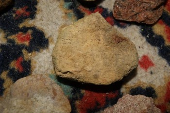 2017-04-07 10-25-40.JPG