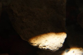 2017-04-07 10-25-56.JPG