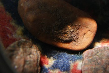 2017-04-07 10-26-30.JPG