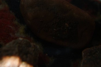 2017-04-07 10-26-38.JPG