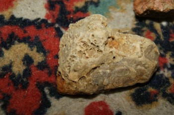 2017-04-07 10-27-06.JPG