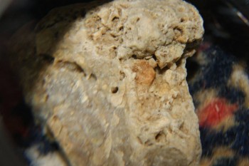 2017-04-07 10-27-26.JPG